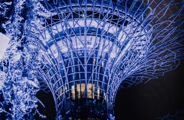 Traveler visiting Singapore